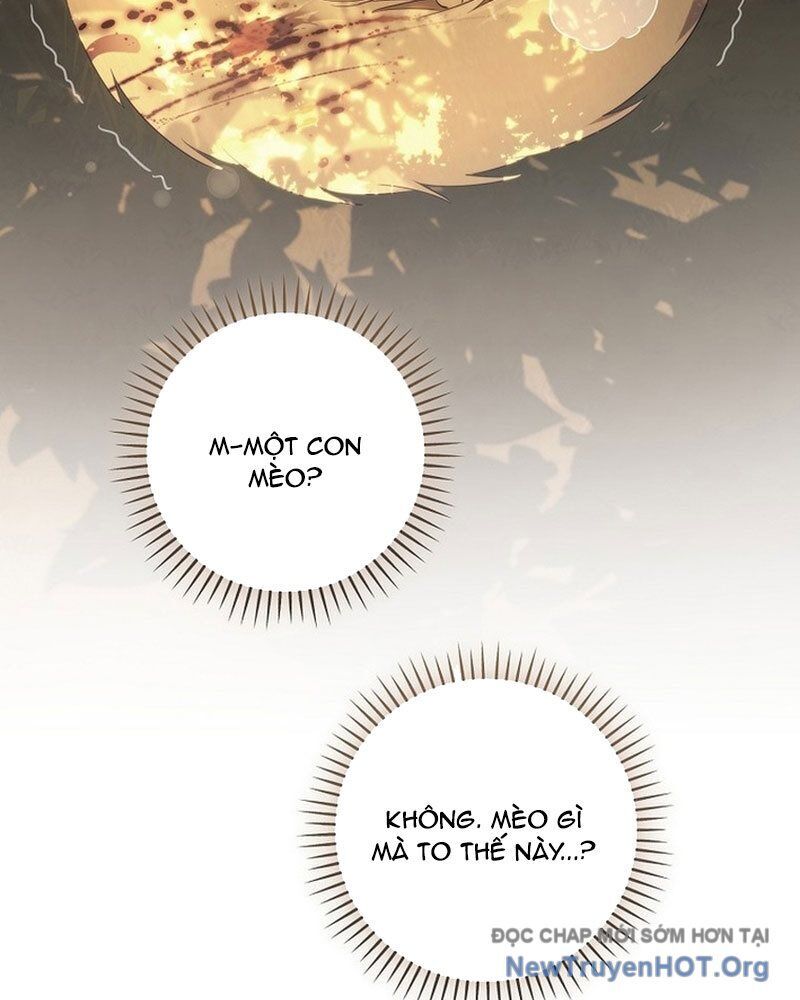 page_142
