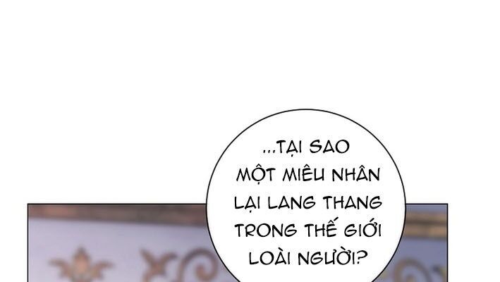 page_117