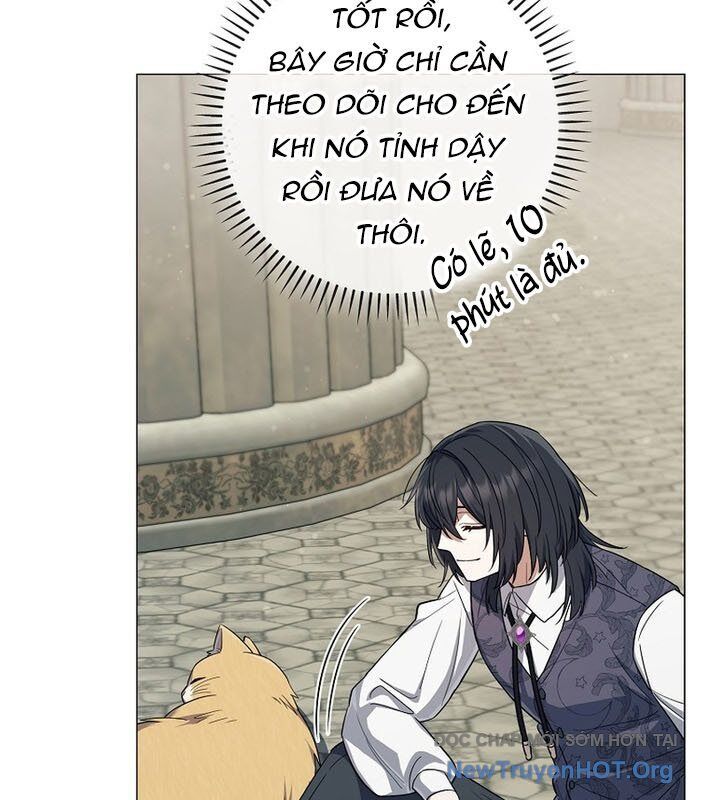 page_19