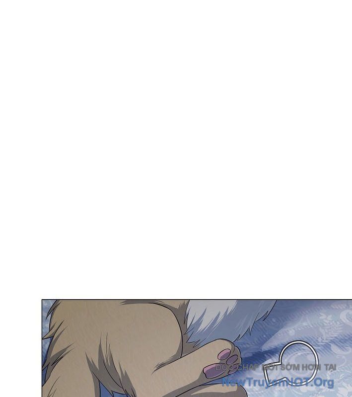page_29