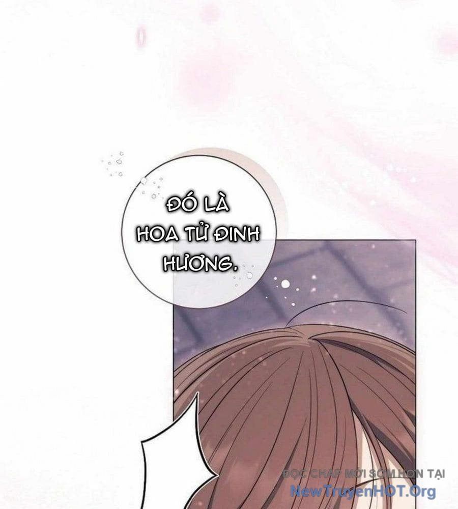 page_41