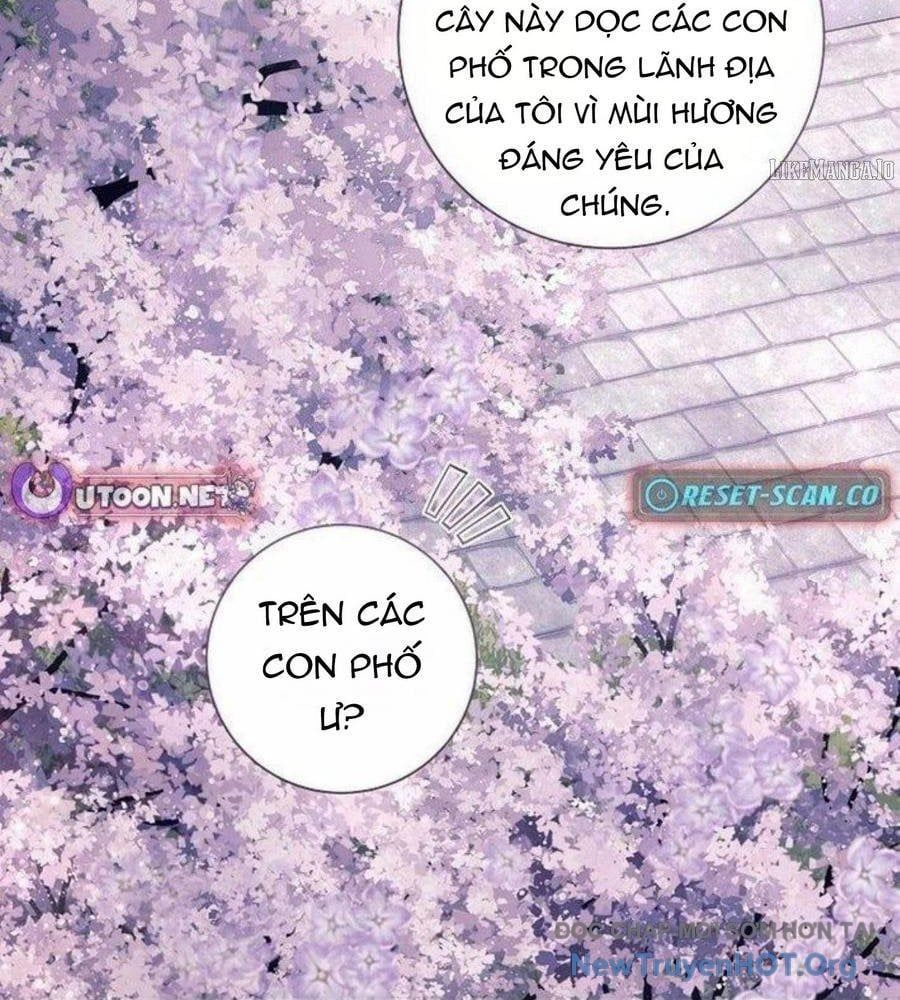 page_52