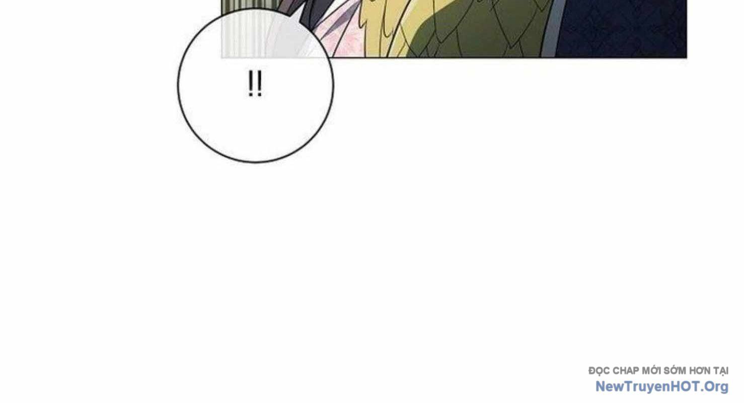 page_29