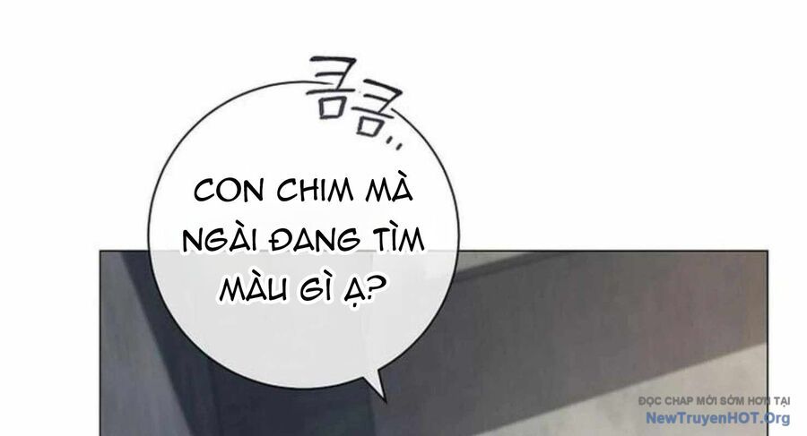page_41