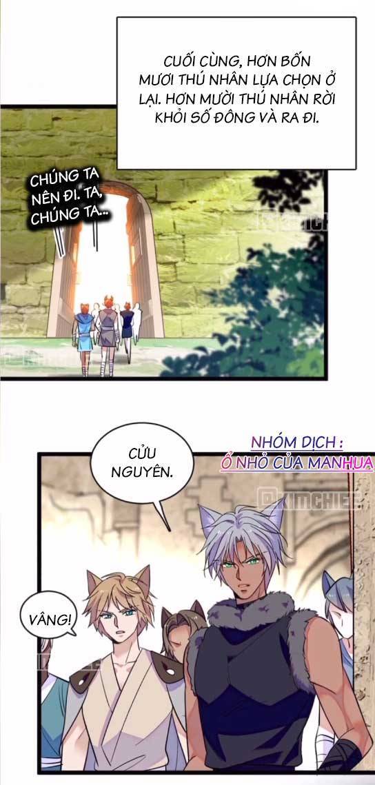 page_5