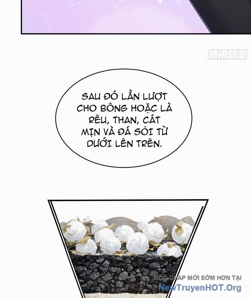 page_26
