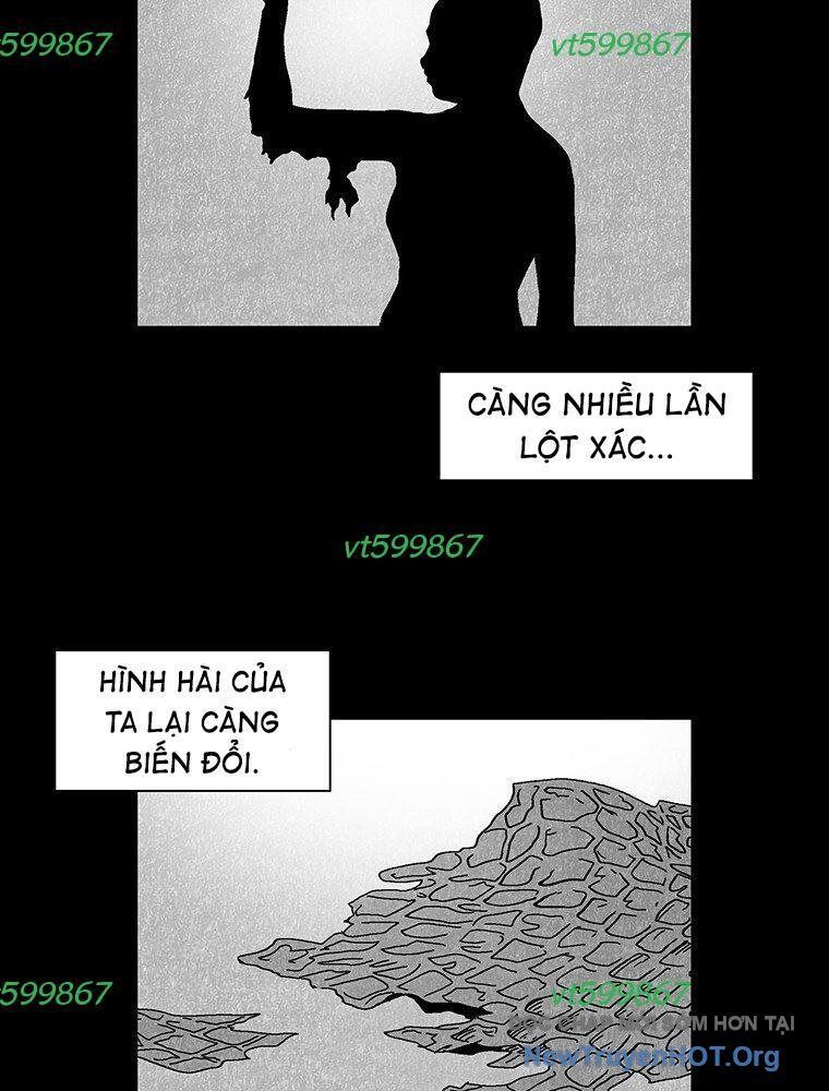 page_40