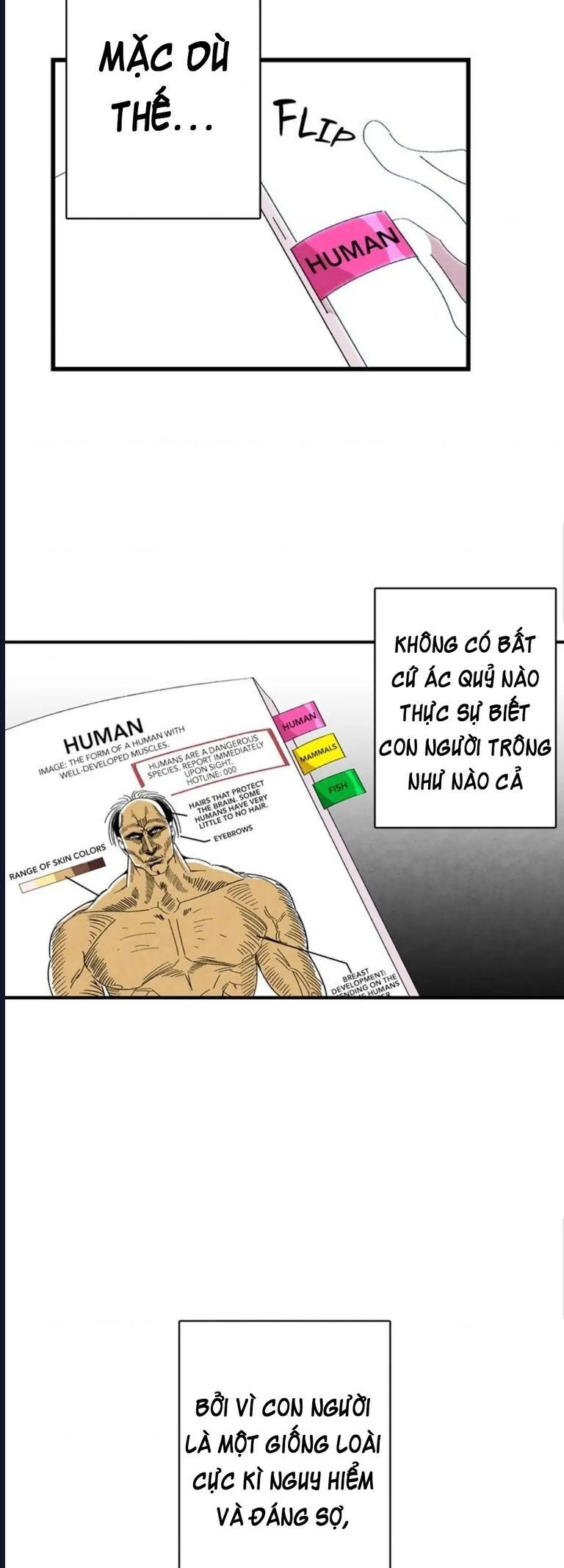 page_34