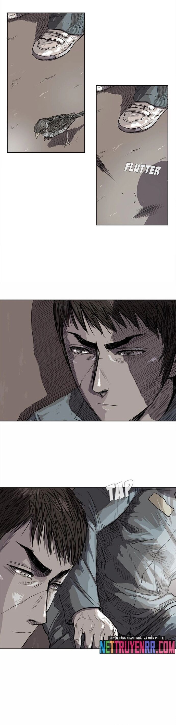 page_8