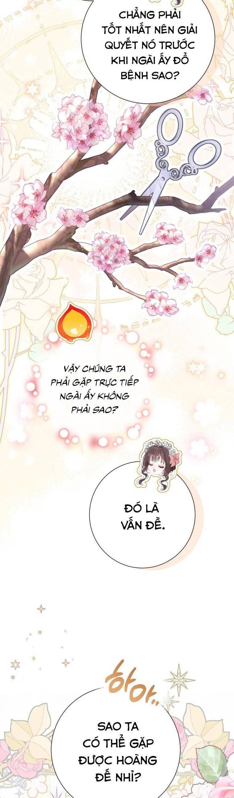 page_29