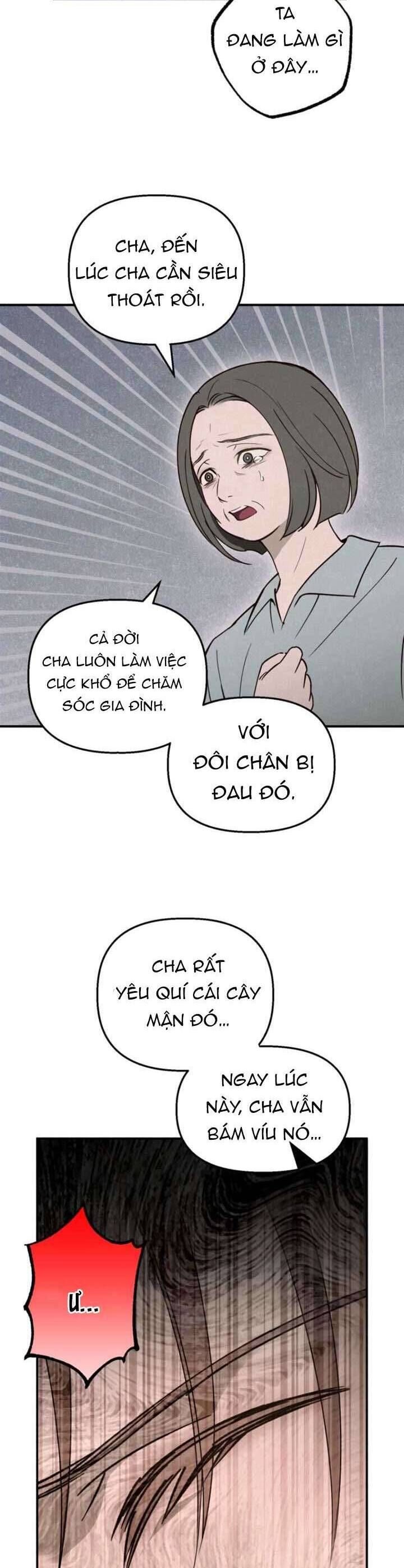 page_28