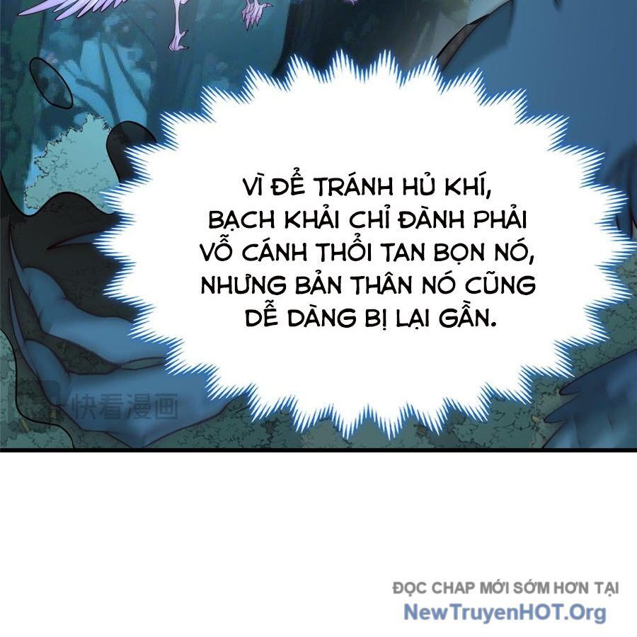 page_19