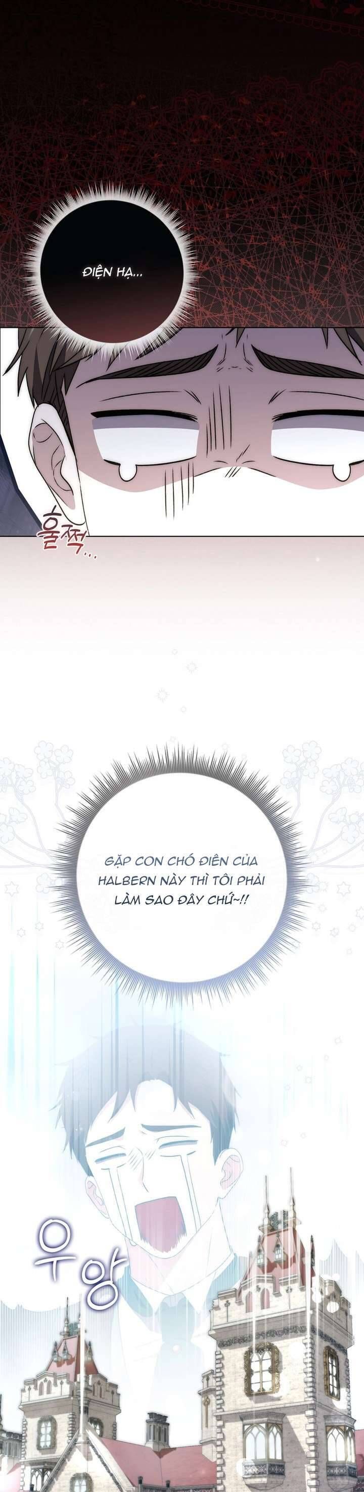 page_28