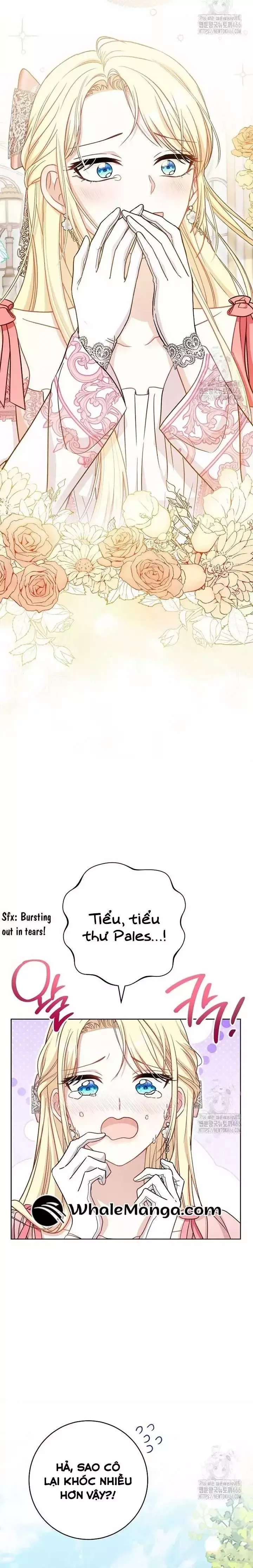 page_16