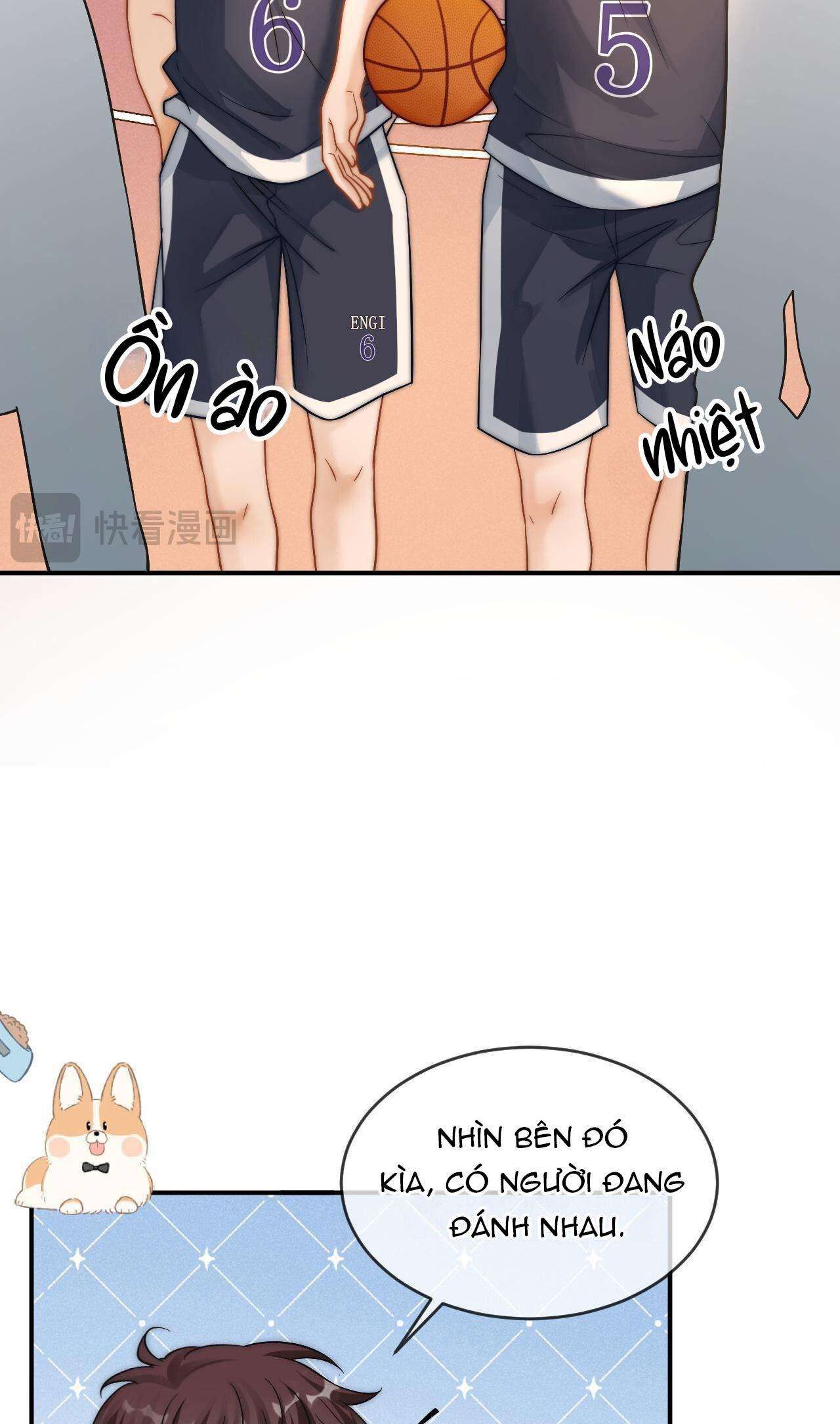 page_24