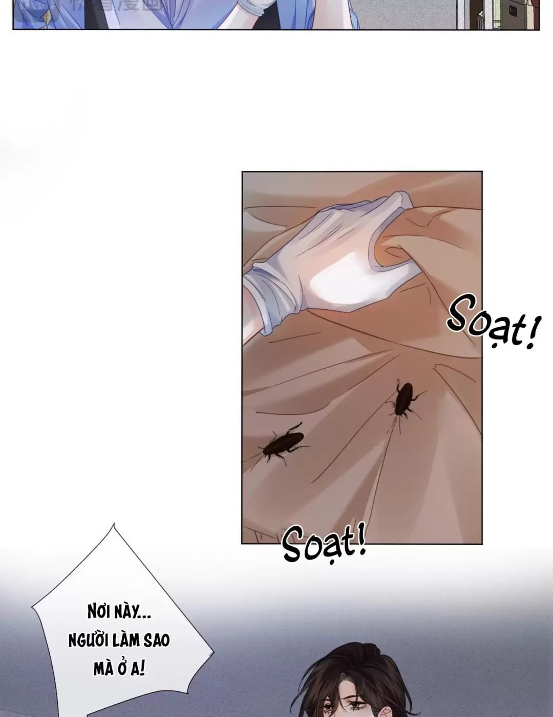 page_8