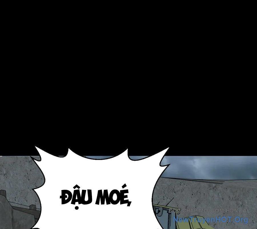 page_66