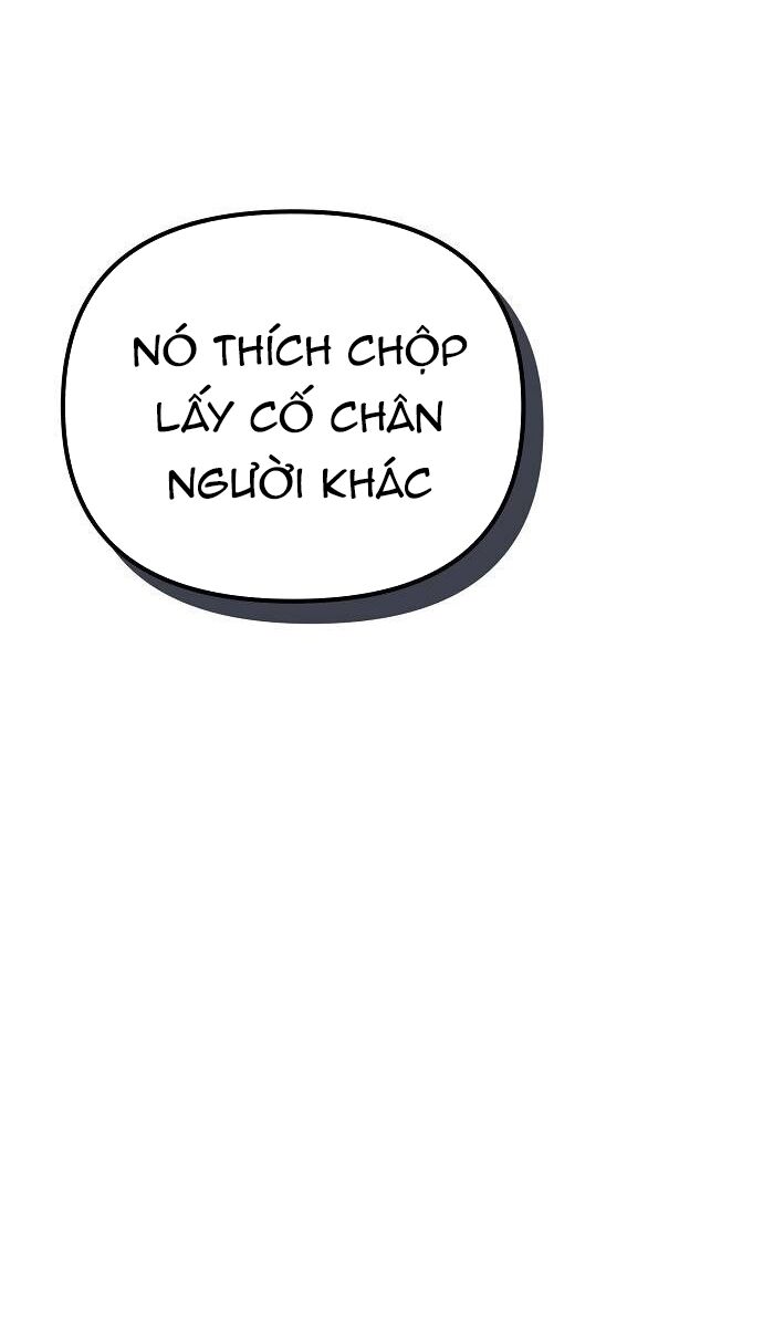 page_96