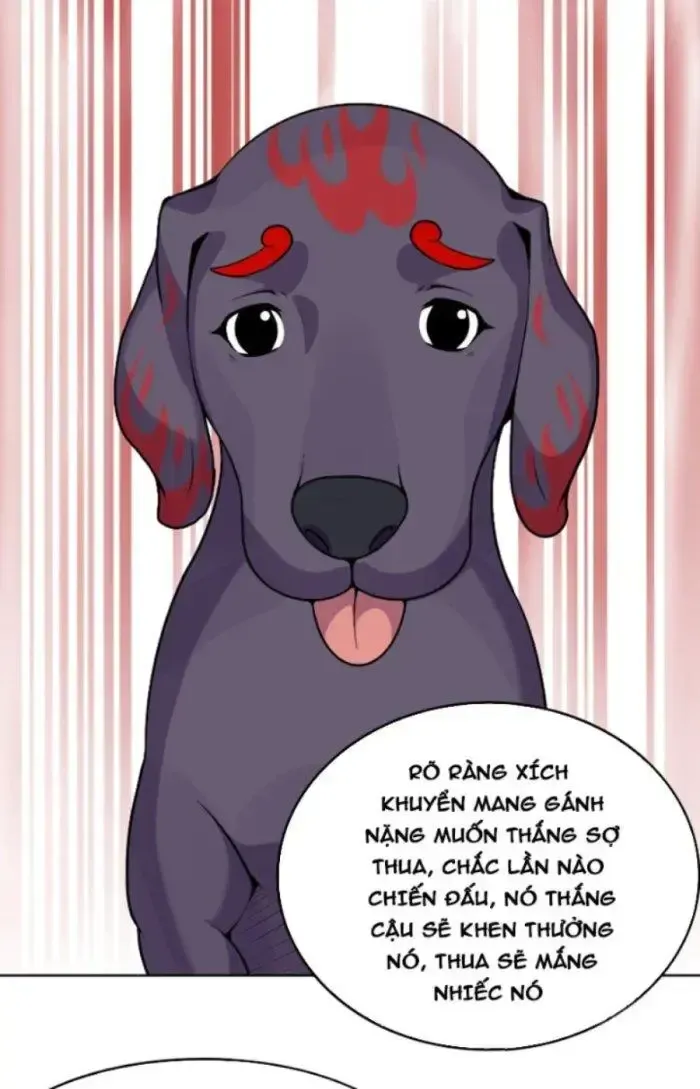 page_24