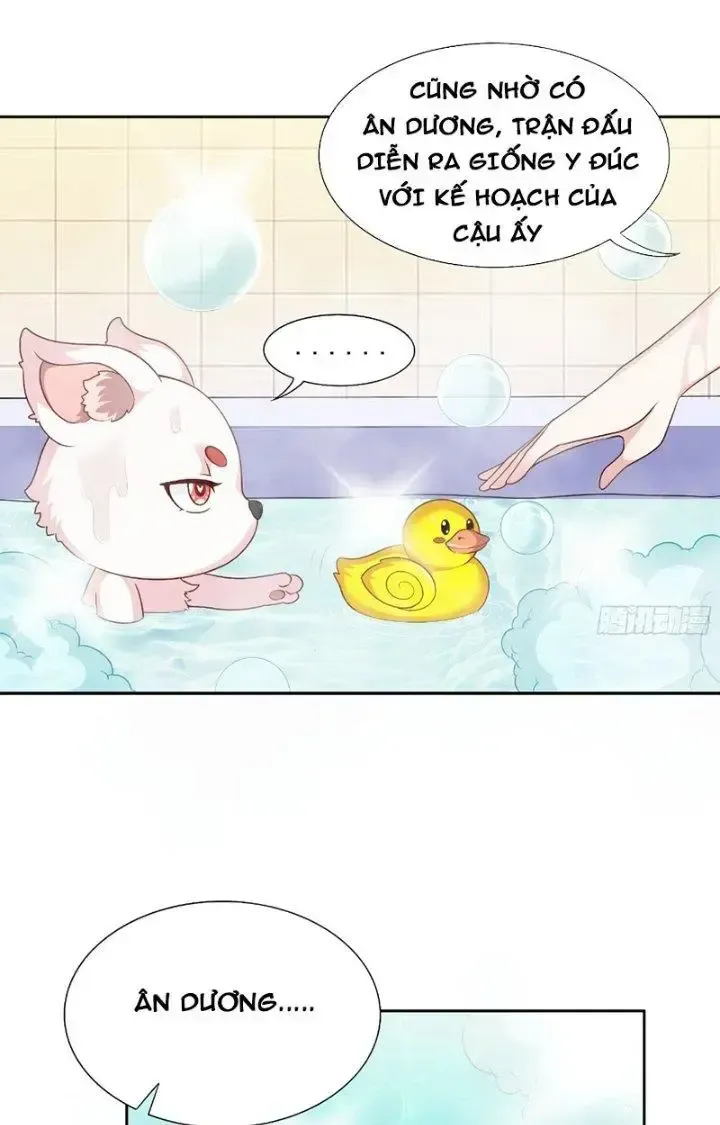 page_5