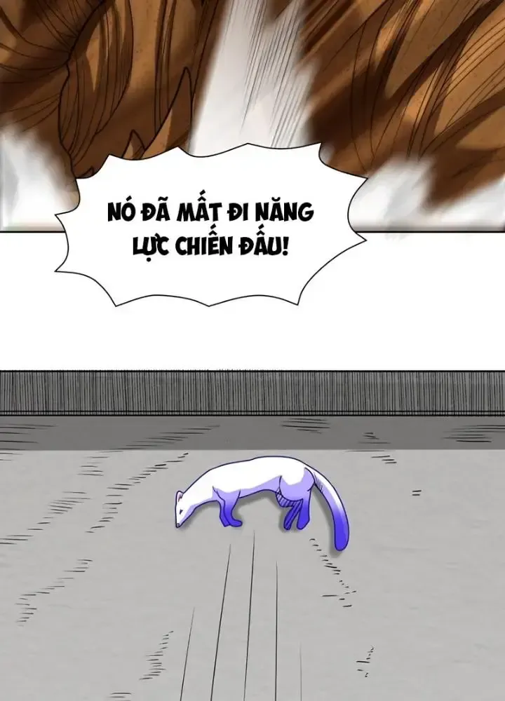 page_28