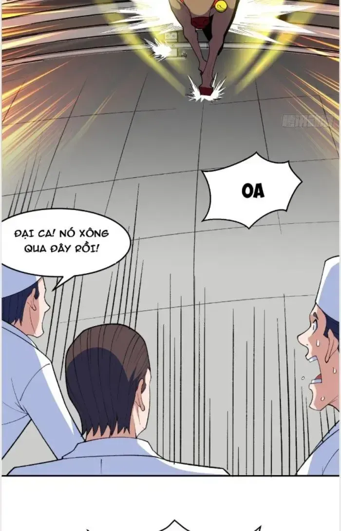 page_33