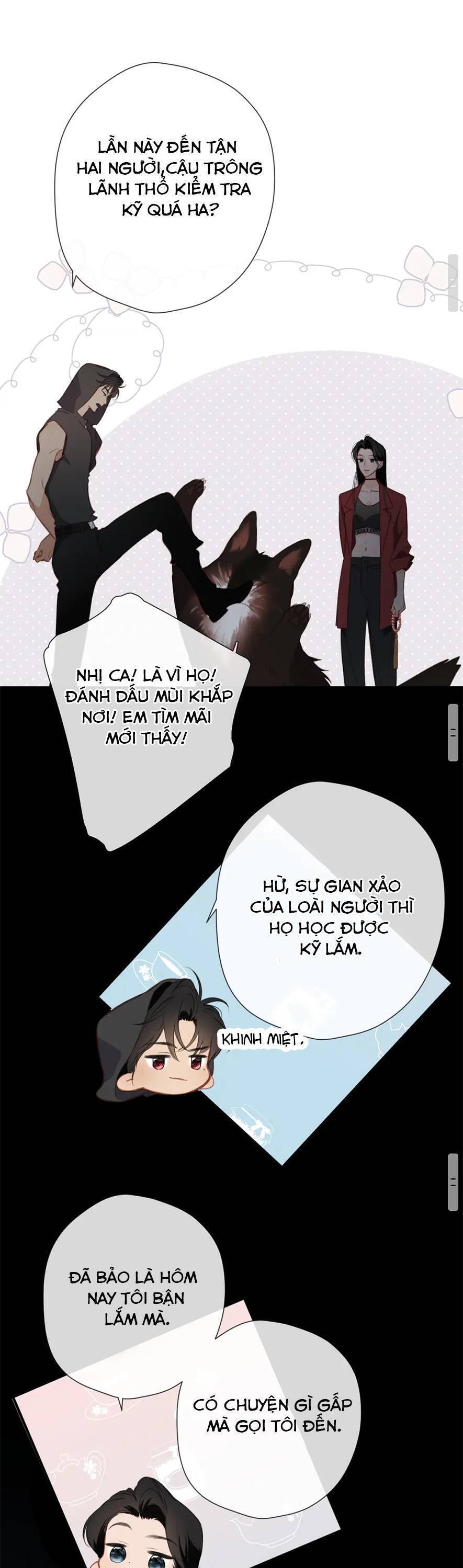page_20