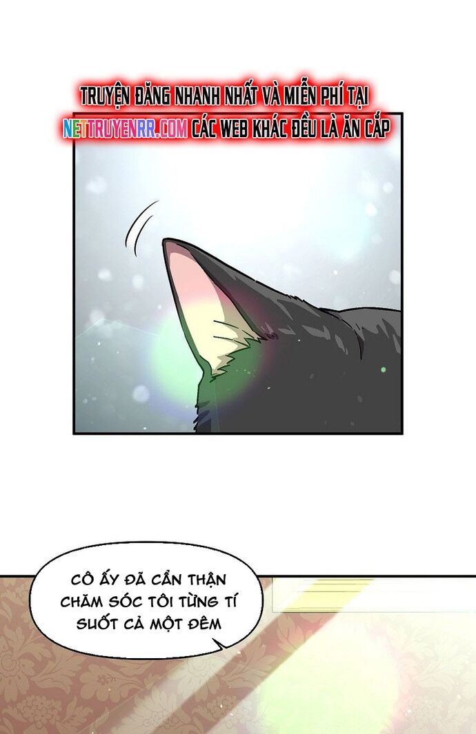 page_29
