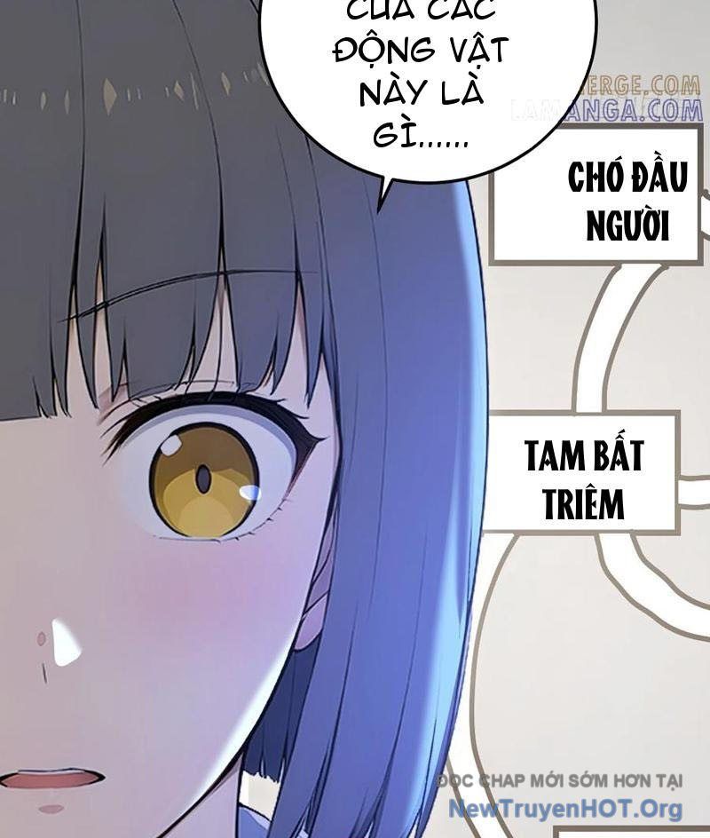 page_43
