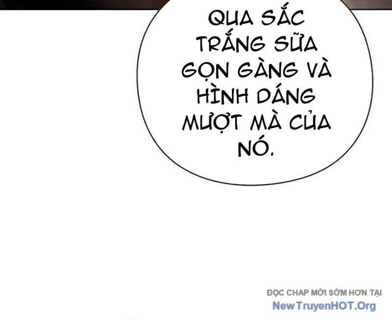 page_29