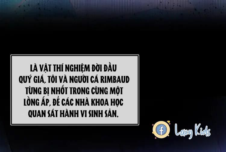 page_20