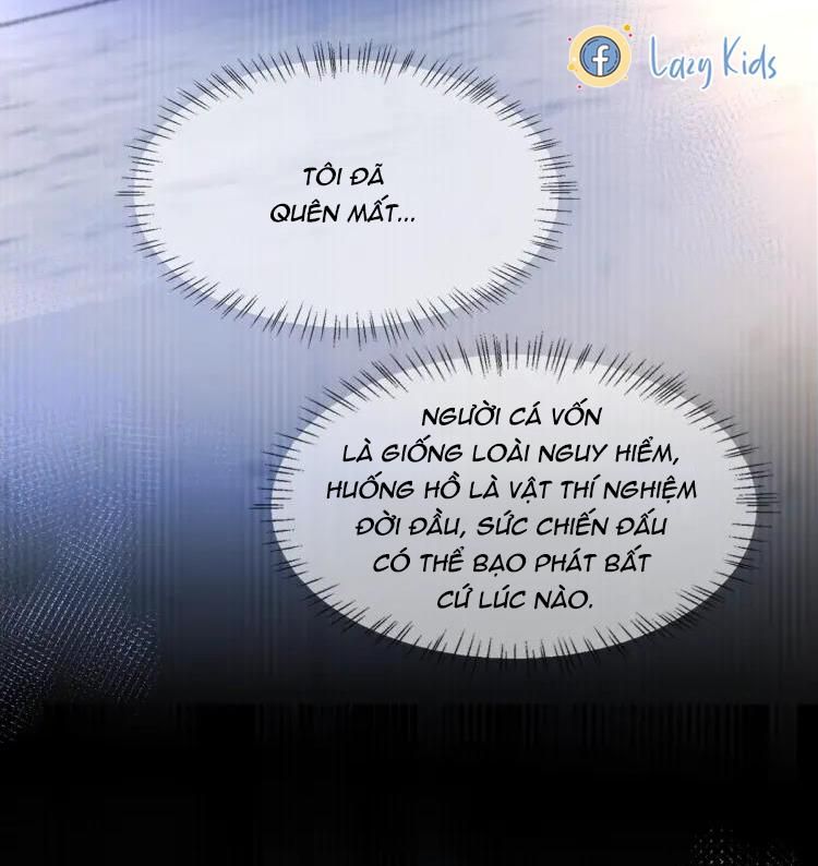 page_26