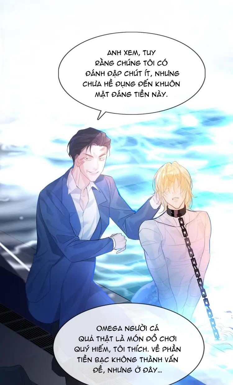 page_37