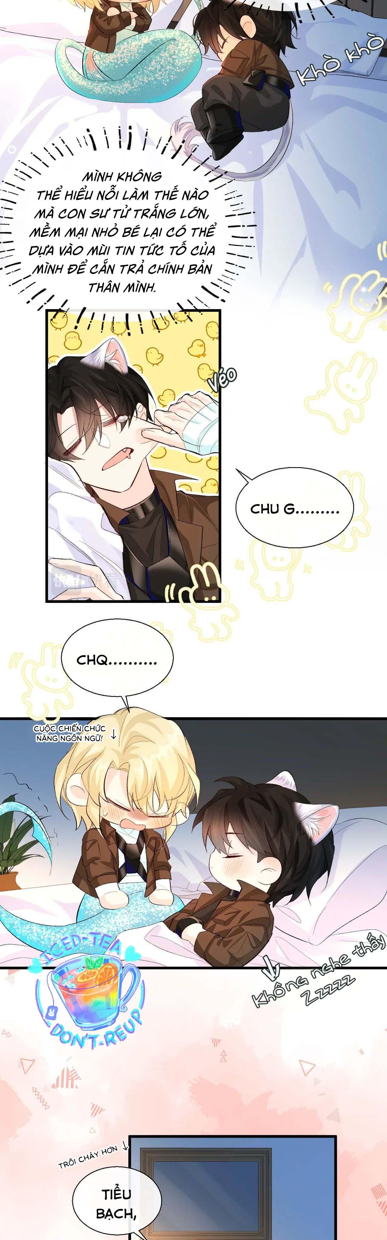 page_13