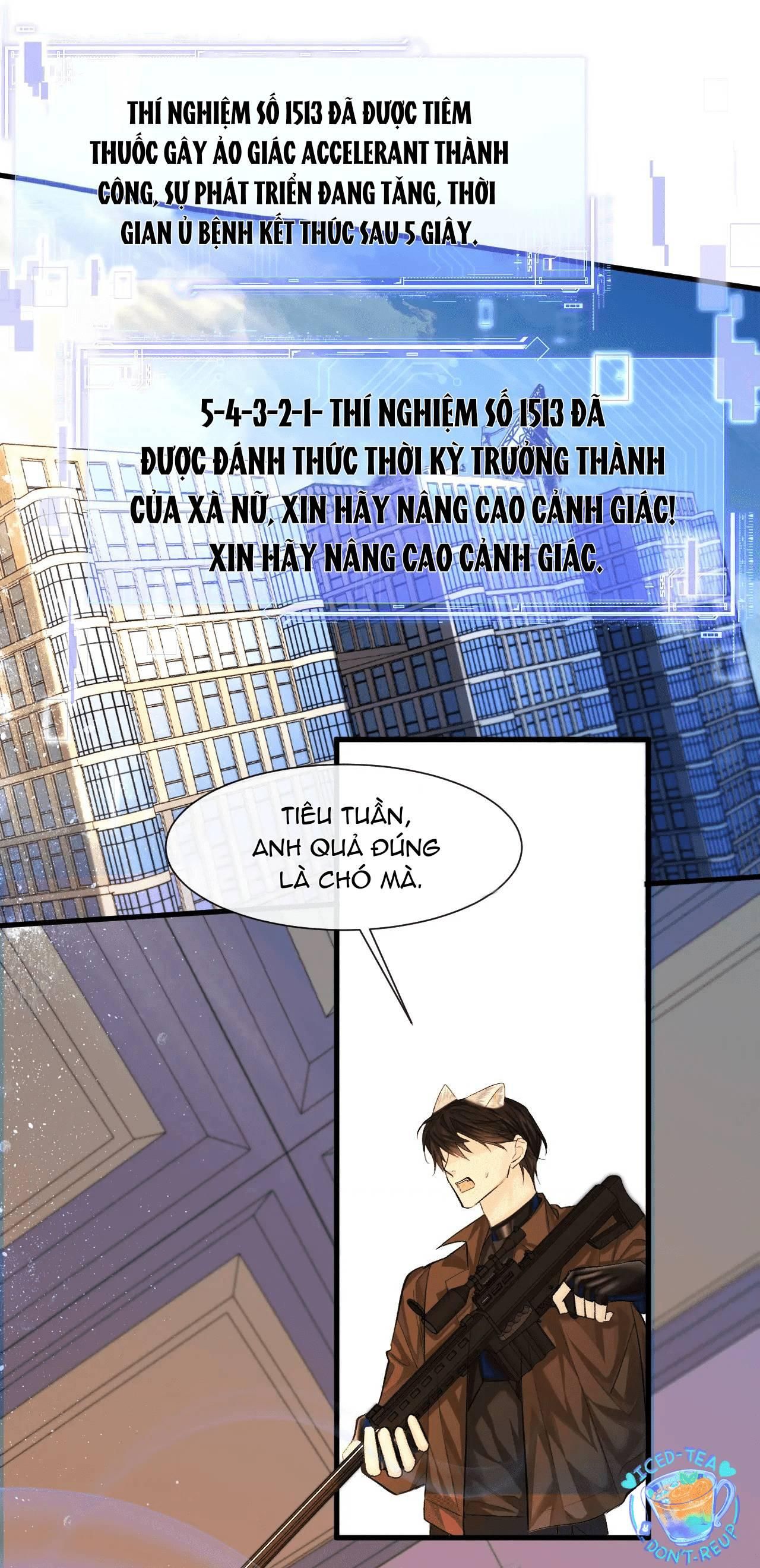 page_19