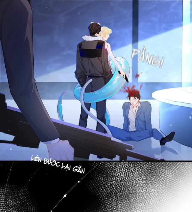 page_13