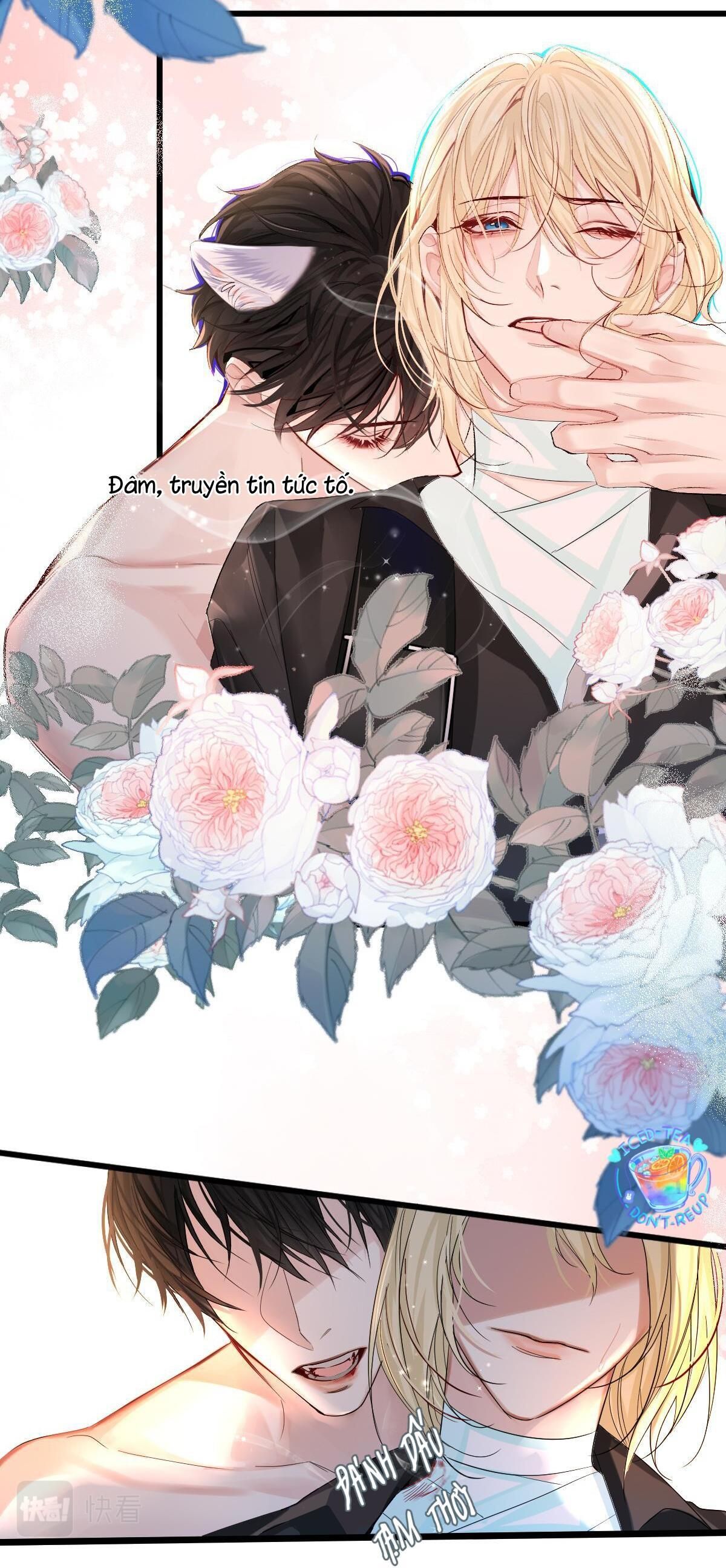 page_5
