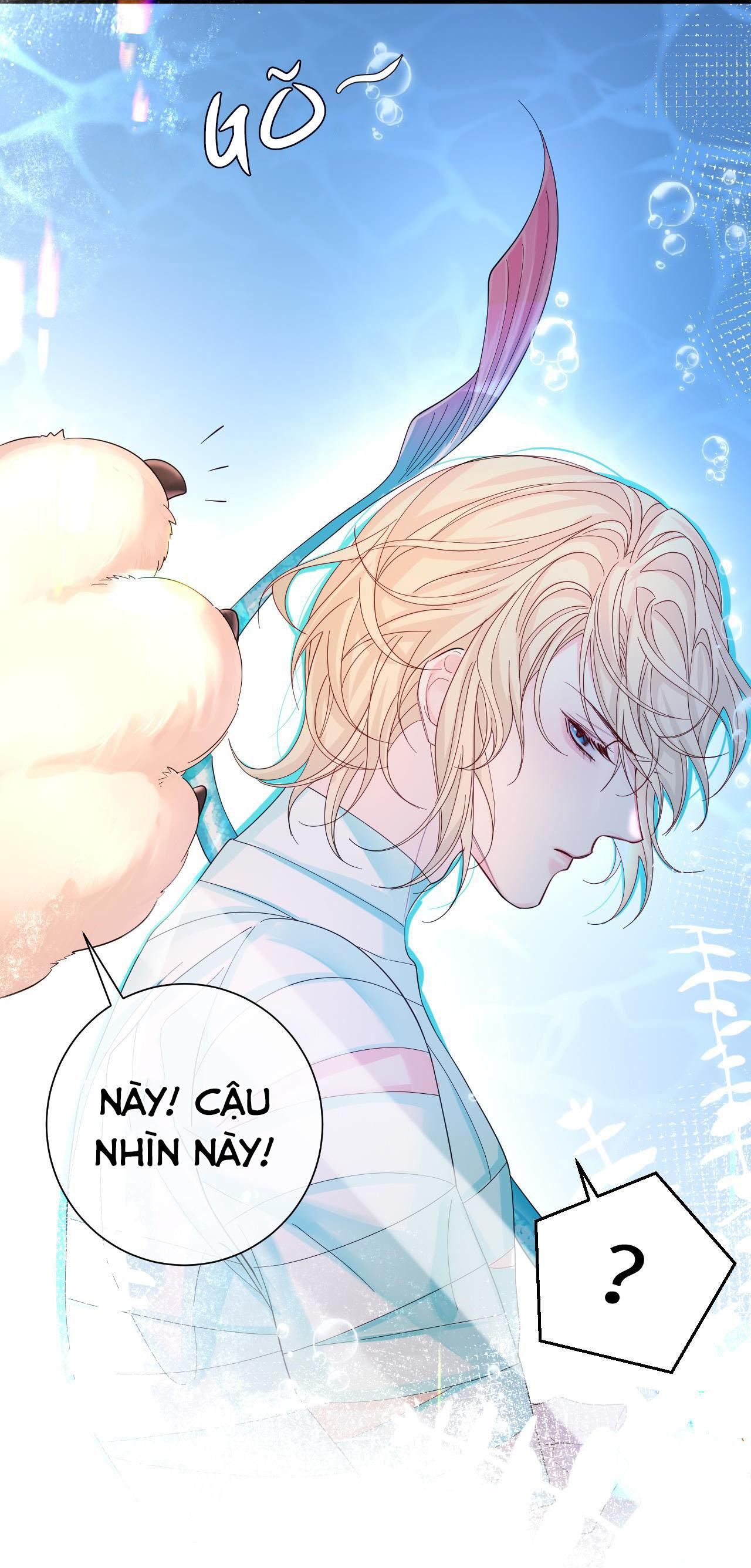 page_17