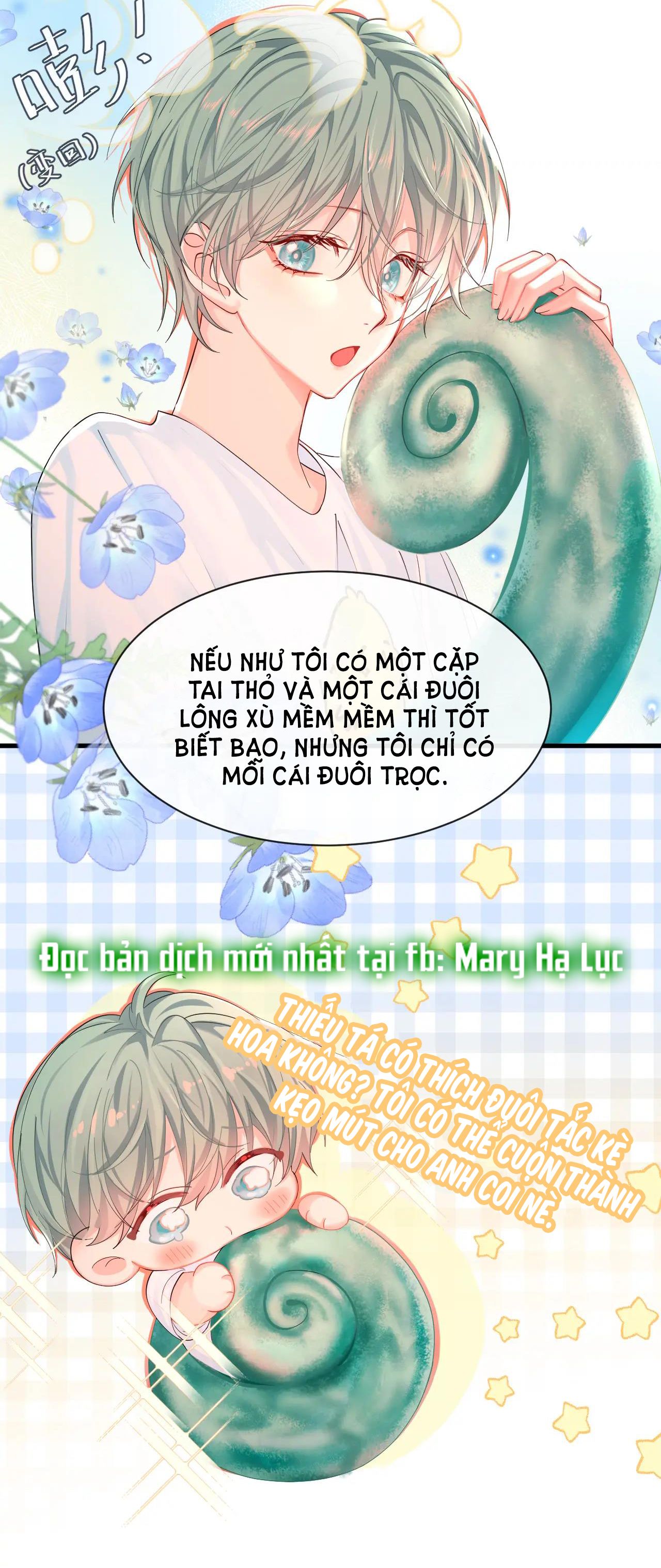 page_19