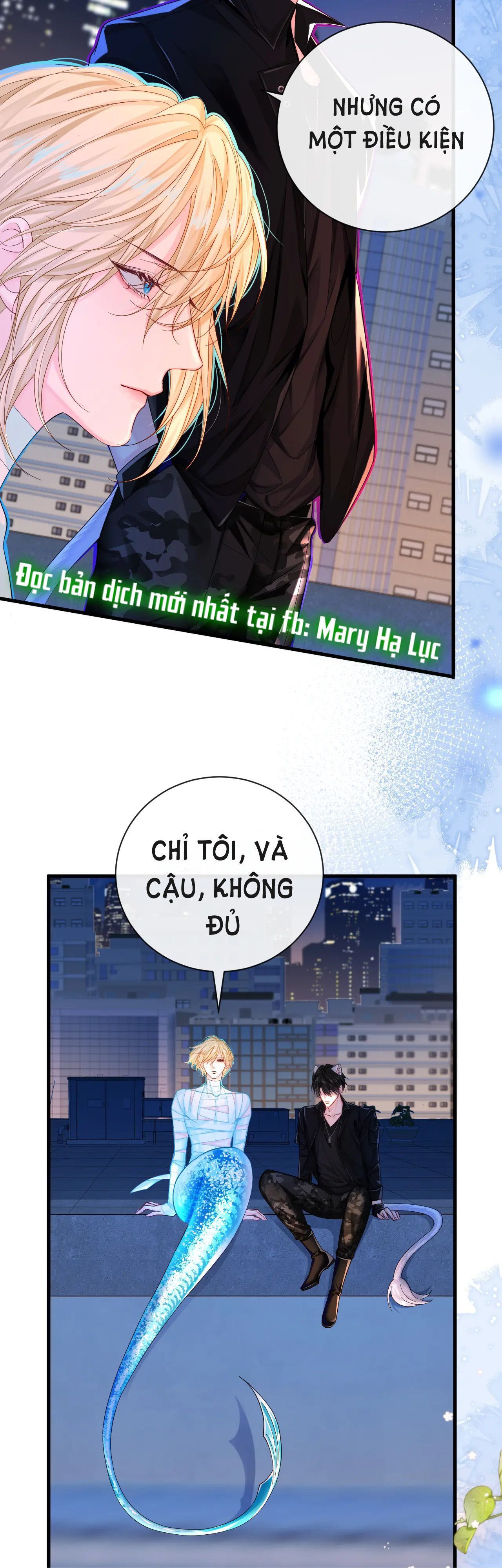 page_6