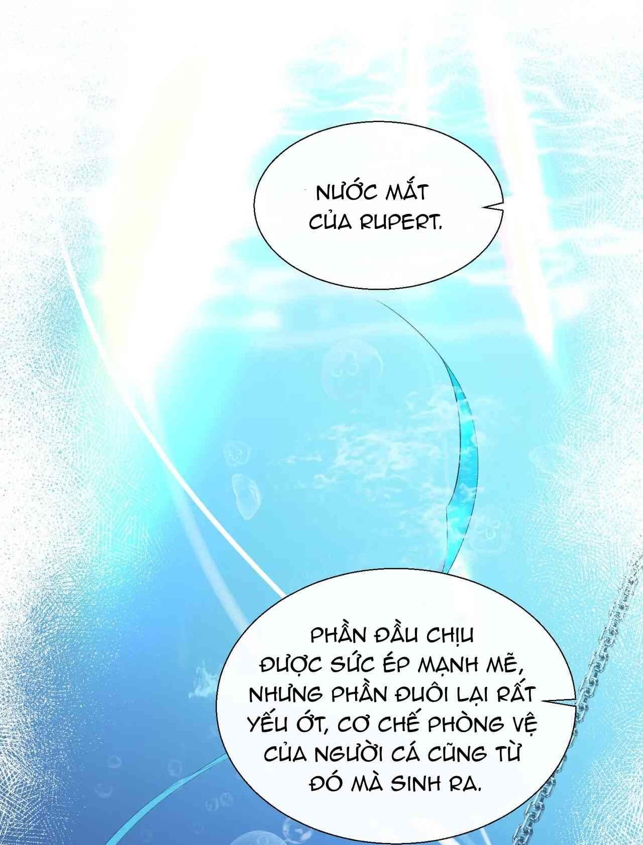 page_35