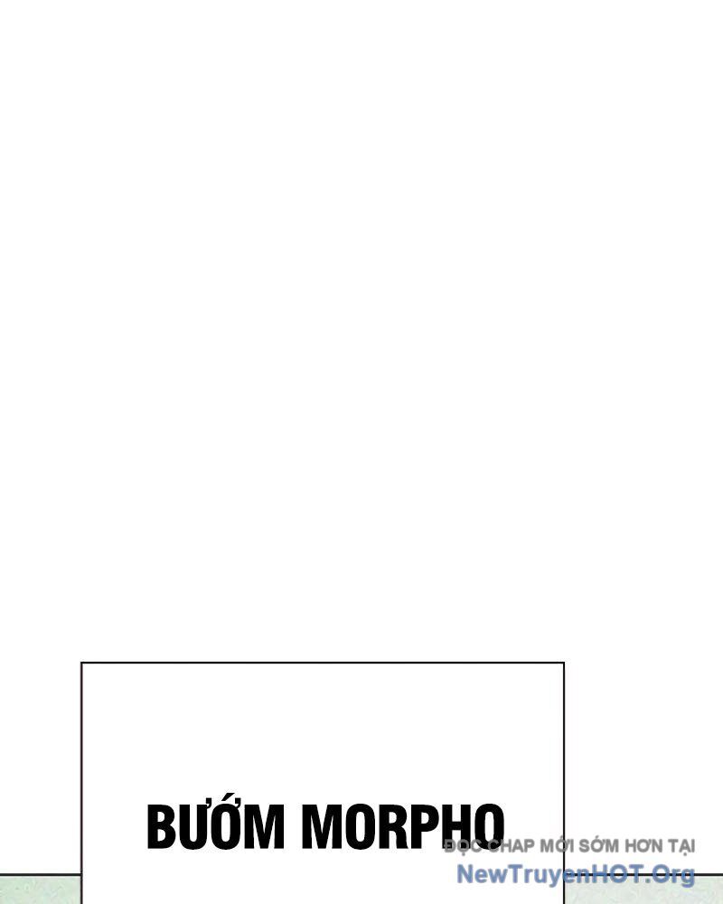 page_41