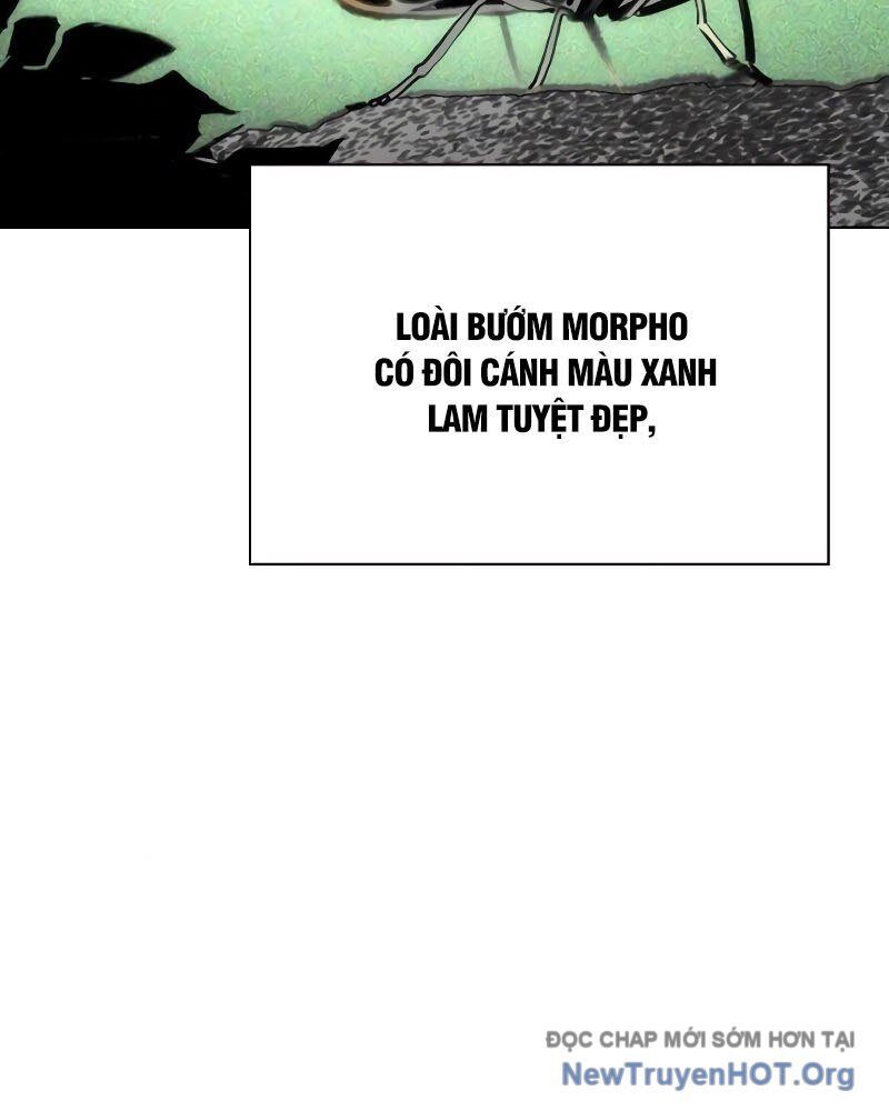 page_43