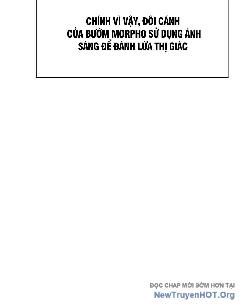 page_52