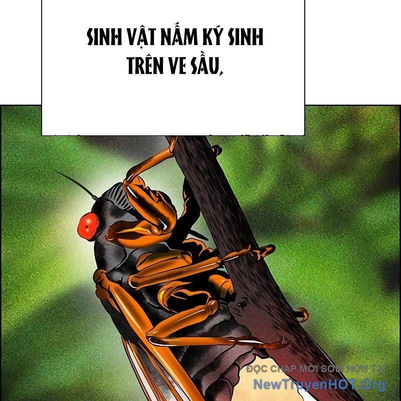 page_92