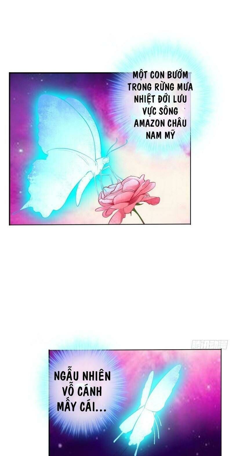 page_29
