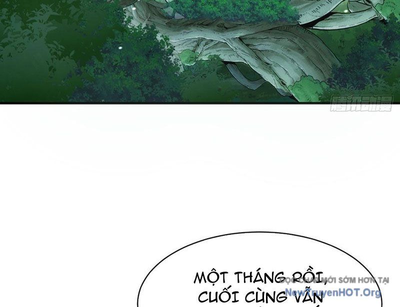 page_41