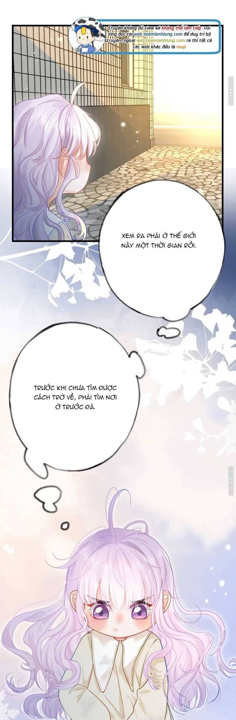 page_5