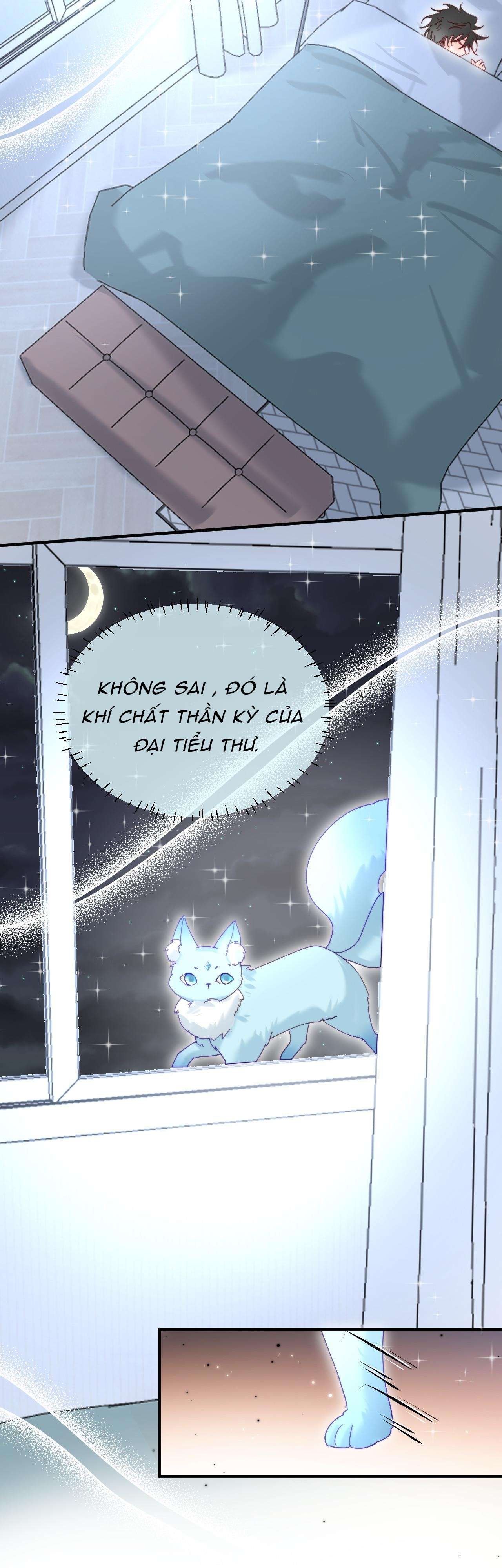 page_24