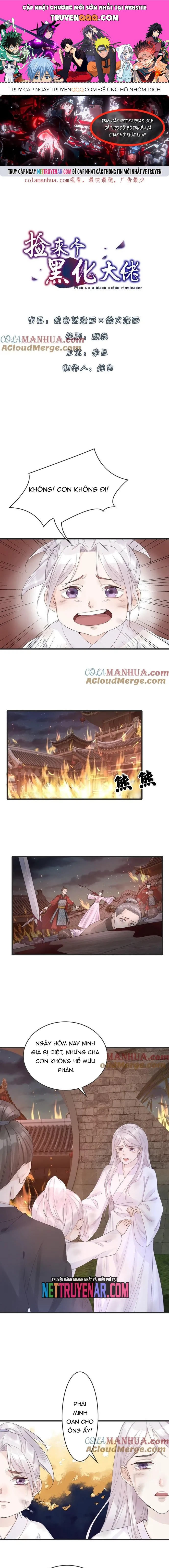 page_0